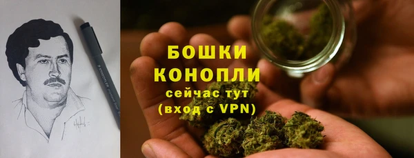 прущий лед Заводоуковск