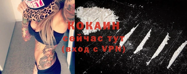 прущий лед Заводоуковск